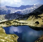 Bulgarian Information and Property - Our Bulgarian World